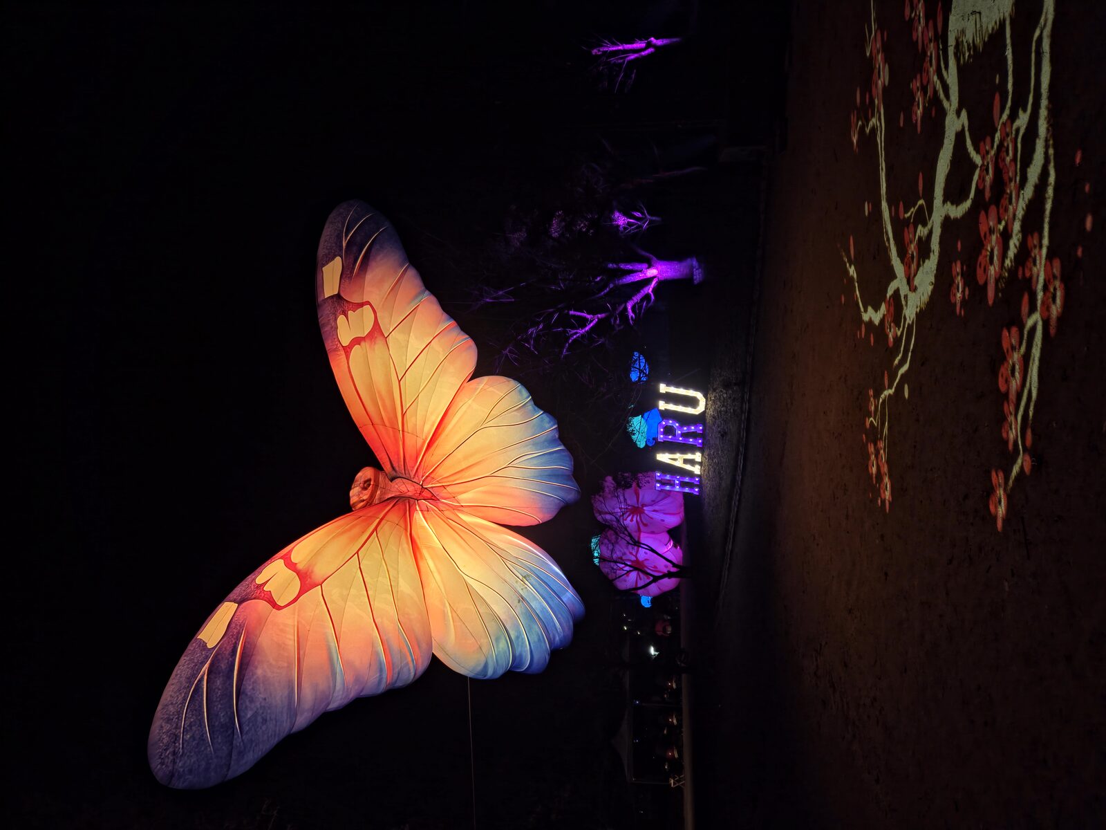 Lichtfestival HARU